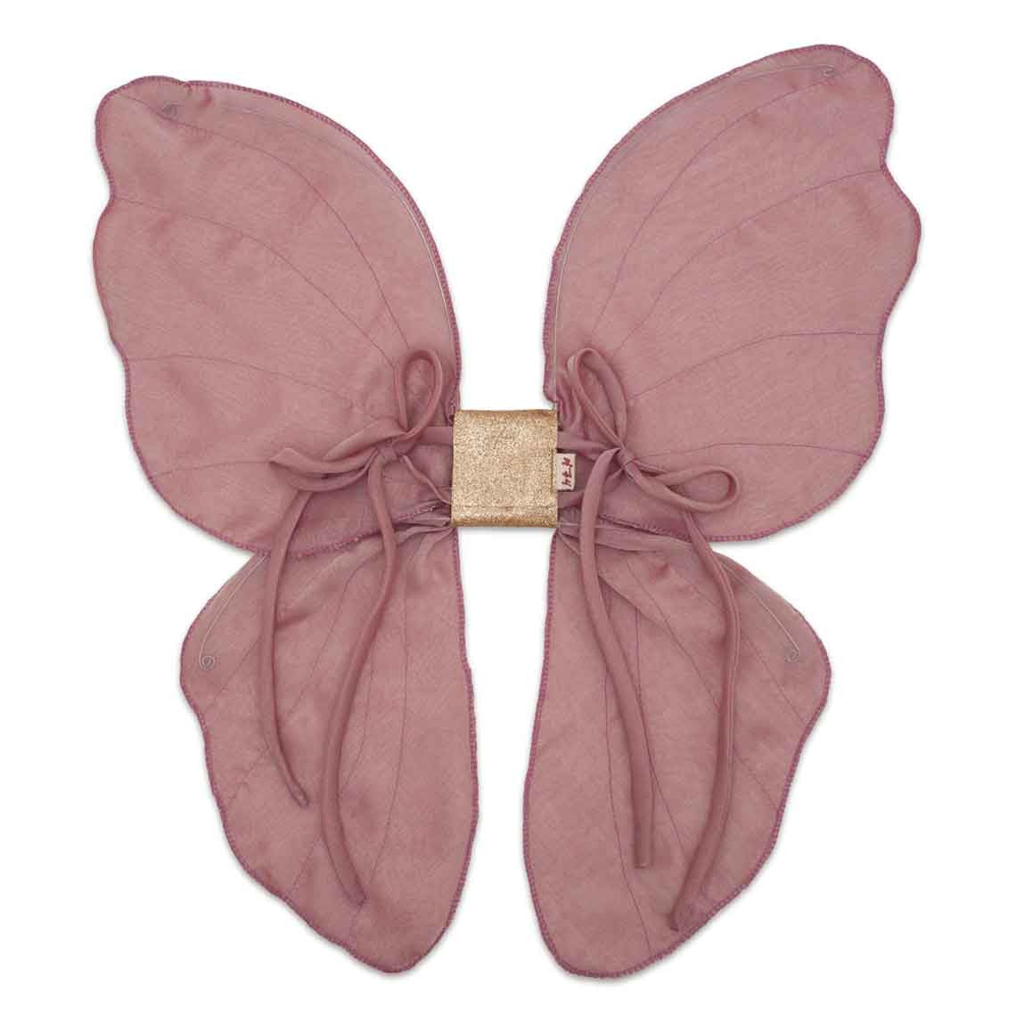 Fairy Wings Rose