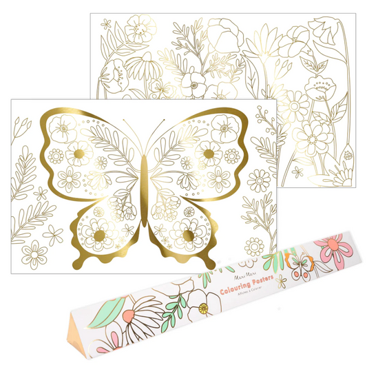 Butterfly Colouring Poster