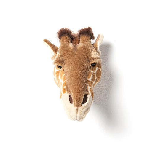 Animal Trophy Heads - Giraffe Ruby