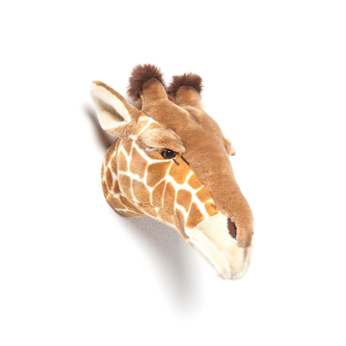 Animal Trophy Heads - Giraffe Ruby