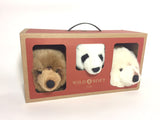 Set of 3 Bear Box Trophies (Small)