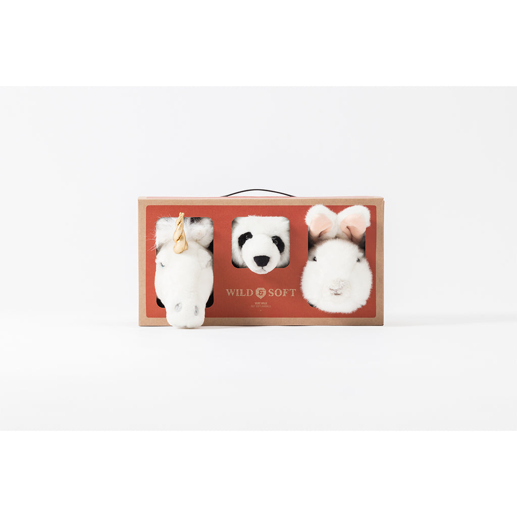 Set of 3 Lovely Box Trophies (Small)